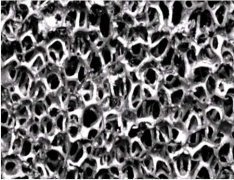 reticulated aluminum foam